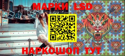 spice Моздок