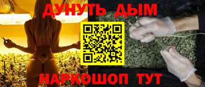 spice Моздок