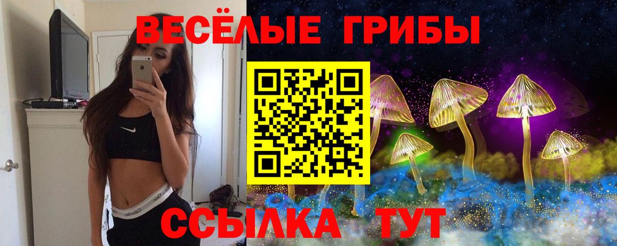наркотики  Псилоцибиновые грибы Cubensis  Вход с VPN  Евпатория 